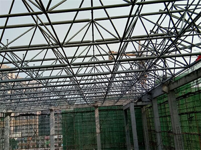 兴化光谷第十一小学网架